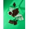 Pekmezli Fıstıklı Çay Kurabiyesi (200 gr/paket) Pekmezli Fıstıklı Çay Kurabiyesi (200 gr/paket)